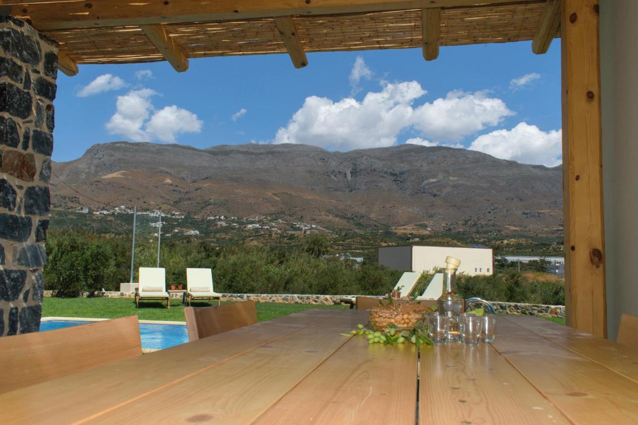 Villas Kozilis - Kozilis Estate Damnoni Dış mekan fotoğraf