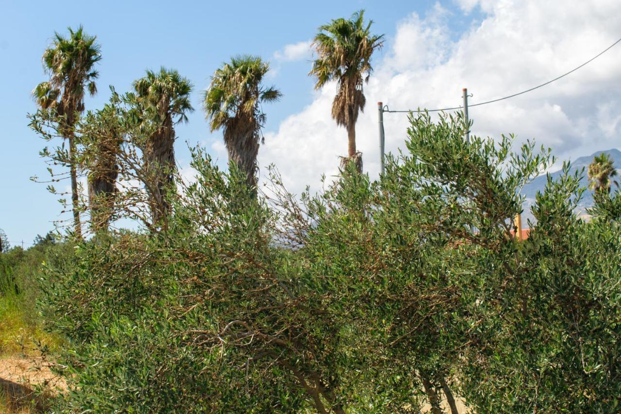 Villas Kozilis - Kozilis Estate Damnoni Dış mekan fotoğraf